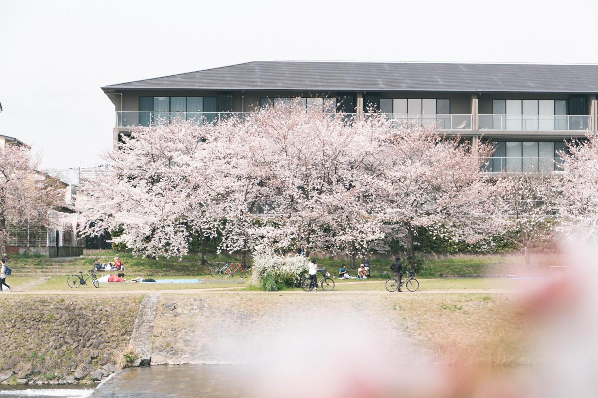Hostel Niniroom - Kyoto — Photos 1